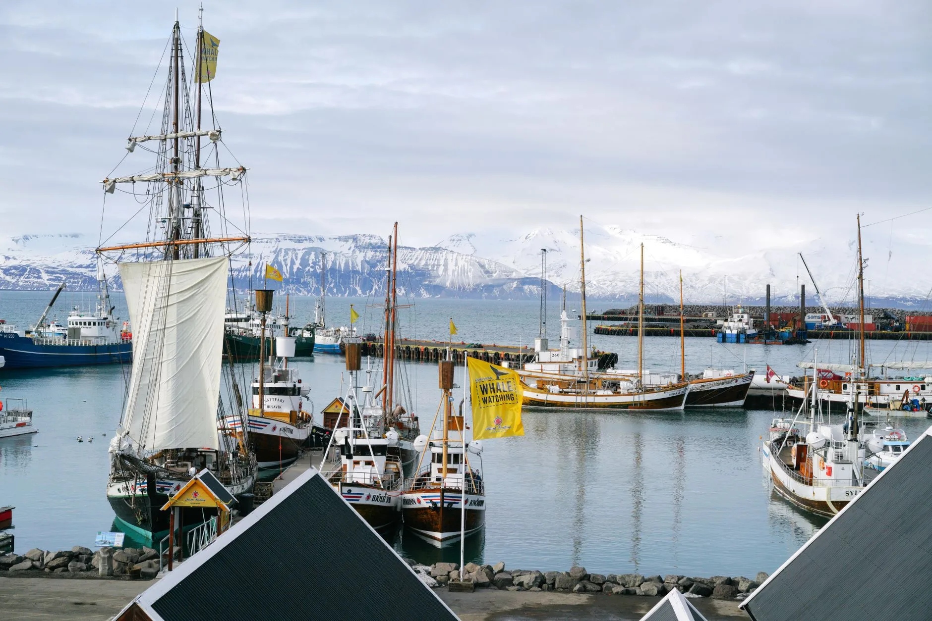 Jour 3 : baleines à Húsavík et retour à Akureyri